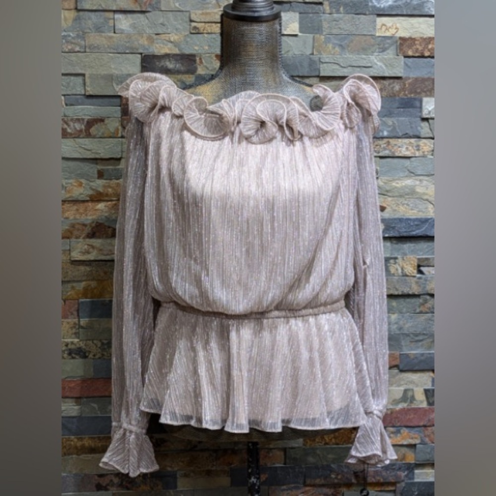 Adrianna Papell Metallic Mesh Taupe Shimmer Ruffled Edged Top Size 2 $139 NWT